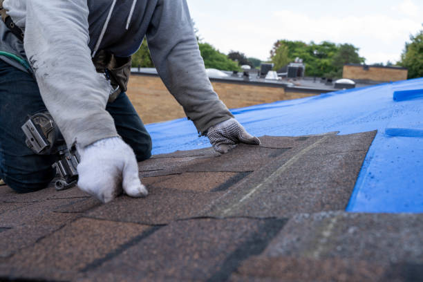 Best Steel Roofing  in Shadyside, OH