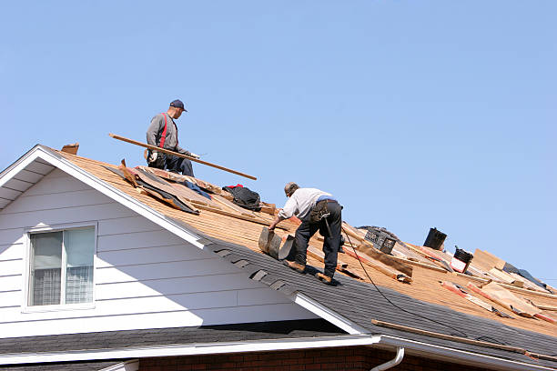 Best Roof Leak Repair  in Shadyside, OH